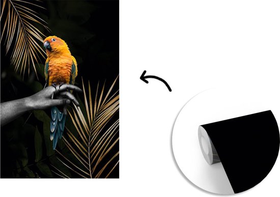 Fond d' écran - Papier peint photo - multicolore oiseau sur une main et fond noir - Largeur 195 cm x hauteur 300 cm