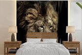 Papier peint - Papier peint photo Lion - Navigation - Or - Largeur 220 cm x hauteur 220 cm