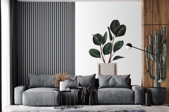 Illustration d'une plant aux feuilles ovales foncées sur fond blanc 195x300 cm