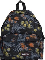 Eastpak Padded Pak'r Rugzak gothica birds