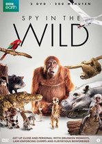 Spy In The Wild (DVD)