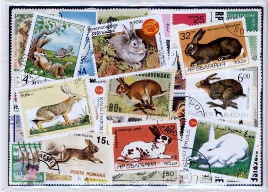 Thumbnail van een extra afbeelding van het spel Konijnen en Hazen – Luxe postzegel pakket (A6 formaat) : collectie van 50 verschillende postzegels van konijnen en hazen – kan als ansichtkaart in een A6 envelop - authentiek cadeau - kado - geschenk - kaart  - haas - konijn - dieren - huisdier