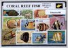 Afbeelding van het spelletje Koraalvissen – Luxe postzegel pakket (A6 formaat) : collectie van 100 verschillende postzegels van koraalvissen – kan als ansichtkaart in een A6 envelop - authentiek cadeau - kado - geschenk - kaart  - zee - onderwater - duiken - koraalrif - zeeleven