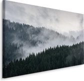 Schilderij - Bos in de wolken, premium print, wanddecoratie