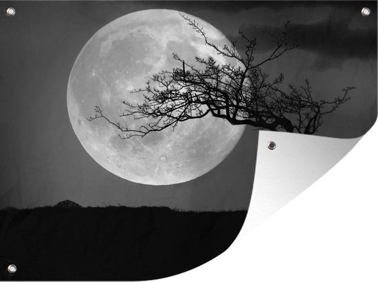 Tuin decoratie Silhouet van een boom voor de volle maan aan de hemel - zwart wit - 40x30 cm - Tuindoek - Buitenposter