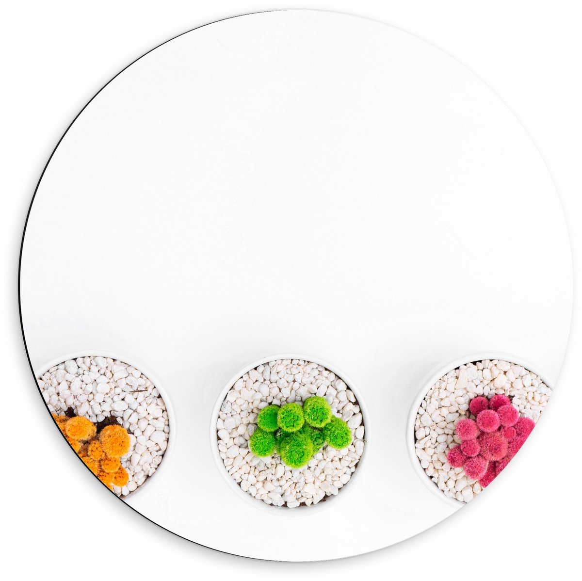 Dibond Wandcirkel - Gekleurde Cactuspotjes - 60x60cm Foto op Aluminium Wandcirkel (met oph