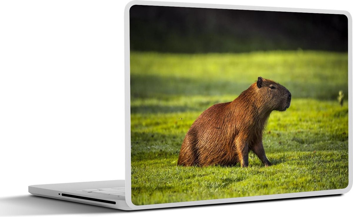 Laptop sticker - 12.3 inch - Gouden zonnestralen over de Capibara - 30x22cm - Laptopstickers - Laptop skin - Cover