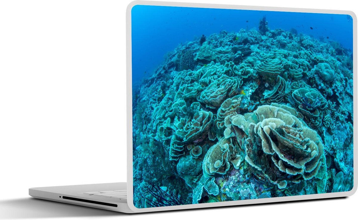 Afbeelding van product SleevesAndCases  Laptop sticker - 13.3 inch - Koraal in het heldere water van het Nationaal park Wakatobi