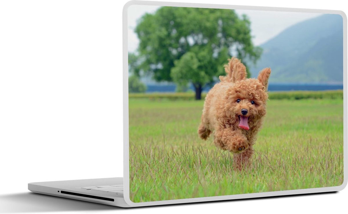 Afbeelding van product SleevesAndCases  Laptop sticker - 14 inch - Poedel puppy rent enthousiast door een grasveld