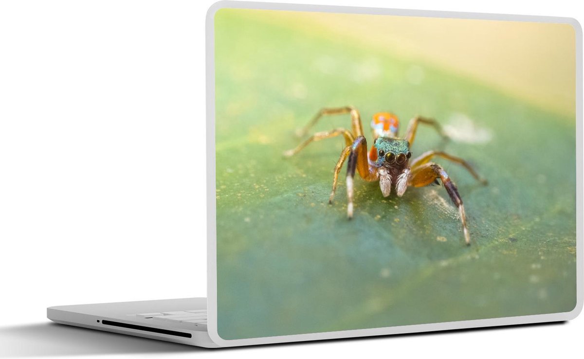 Afbeelding van product SleevesAndCases  Laptop sticker - 10.1 inch - Kleurrijke springspin