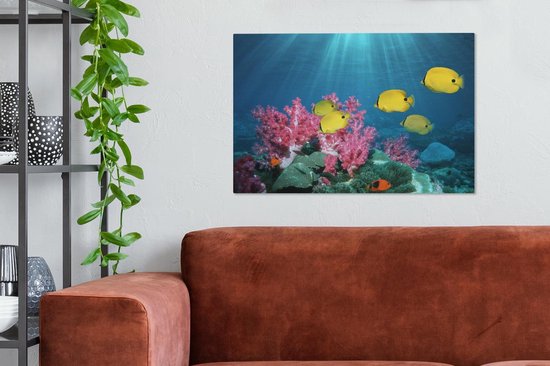 Tableau sur toile Poisson - Corail - Lumière - 90x60 cm - Décoration murale