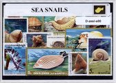 Zeeslakken – Luxe postzegel pakket (A6 formaat) : collectie van verschillende postzegels van zeeslakken – kan als ansichtkaart in een A6 envelop - authentiek cadeau - kado - geschenk - kaart - Gastropoda - weekdier - zee - zeeslak - huisje