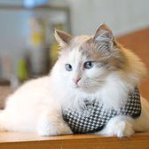 Catspia Cat Harness - Garbo Black - Kattenharnas - Tuigje voor uitlaten van de kat - Veilig mee naar buiten - Large