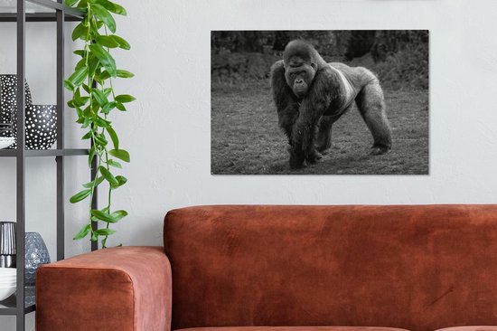 Tableau sur toile Un Gorilla marche sur ses mains et ses jambes - noir et blanc - 60x40 cm - Décoration murale