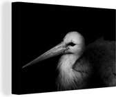 Tableau Tableau Portrait photo oiseau sur fond noir - noir et blanc - 120x80 cm - Décoration murale
