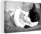 Canvas Schilderij Knuffelende katten - zwart wit - 30x20 cm - Wanddecoratie