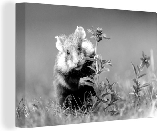 Canvas schilderij 140x90 cm - Wanddecoratie Hamster die zich verstopt achter een bloem - zwart wit - Muurdecoratie woonkamer - Slaapkamer decoratie - Kamer accessoires - Schilderijen