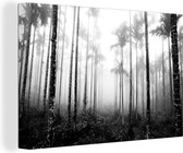 Tableau sur toile Une forêt avec palmiers et brouillard - noir et blanc - 120x80 cm - Art Décoration murale