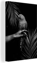 Canvas Schilderij Vogel op een hand en zwarte achtergrond - zwart wit - 20x30 cm - Wanddecoratie