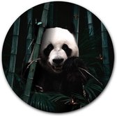 Wandcirkel Jungle Panda - WallCatcher | Aluminium 100 cm | Rond schilderij | Muurcirkel Jungle Reuzenpanda dibond