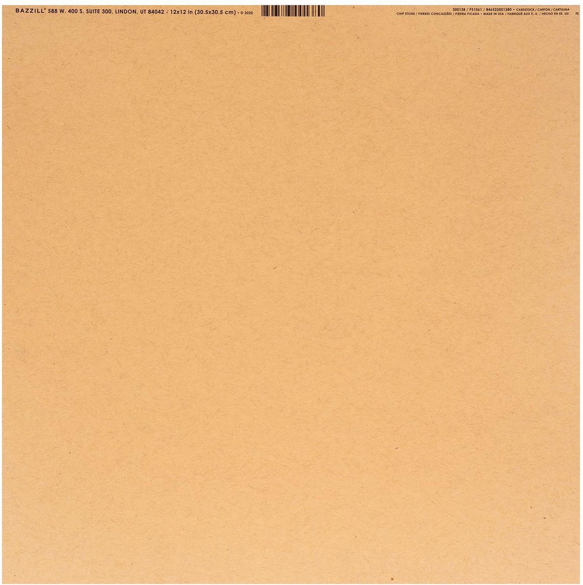 Bazzill - Speckle Karton 30.5x30.5cm Chip Stone