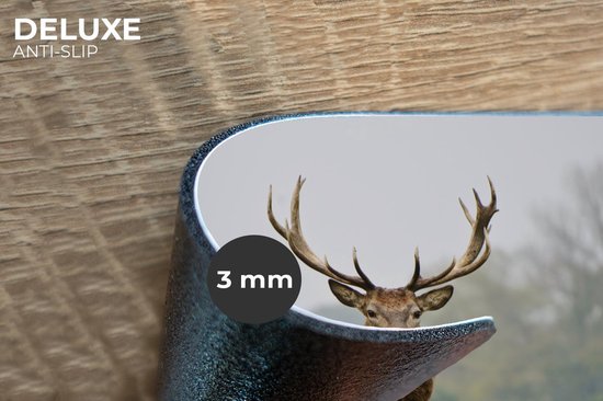 Lot De 4 Sets De Table Chasse Au Cerf - Motif Bois Vintage - Taille 45x30 Cm Imperméables - Idéal Déco Garçon Ou Ferme