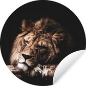 Papier peint Cercle - Lion - Arbre - Dormir - 100x100 cm XXL