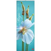 Comello Wandkalender Magic Flowers 2021 69 X 24 Cm Papier Blauw