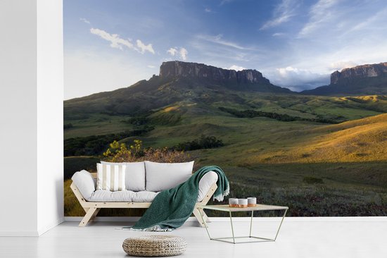Papier peint vinyle - Coucher de soleil dans le parc national de Canaima au Venezuela largeur 390 cm x hauteur 260 cm - Tirage photo sur papier peint (disponible en 7 tailles)