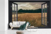 Behang - Fotobehang Doorkijk - Veld - Boom - Breedte 525 cm x hoogte 350 cm