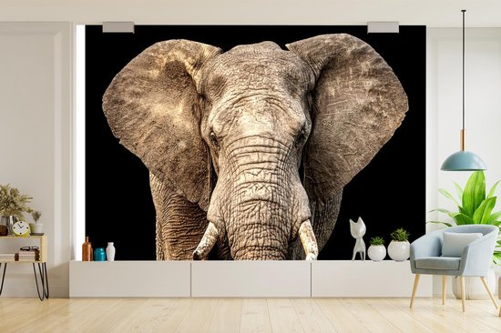 Papier peint - Papiers Papier peint photo Éléphant - Portrait - Zwart - Largeur 390 cm x Hauteur 260 cm