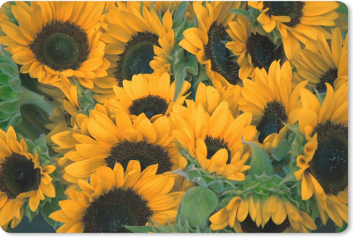 Muismat 27x18 cm - Mousepad Bloemen - Zonnebloem - Macro - Muismatten