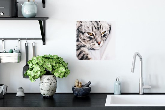 Stickers muraux - Film autocollant - Chats - Yeux - Macro - 40x30 cm - Film adhésif - Stickers muraux Chambre d'enfants - Papier peint autocollant