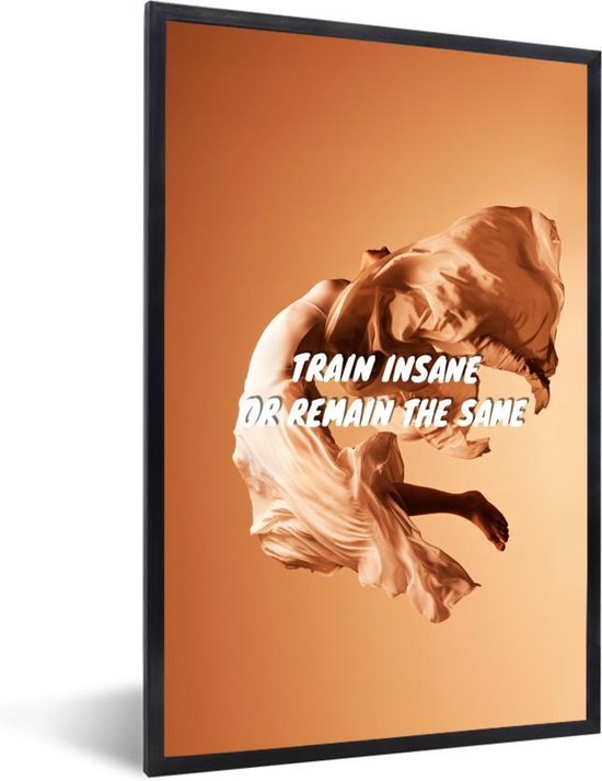 Fotolijst incl. Poster - Spreuken - Quotes - 'Train insane or remain the same' - 40x60 cm - Posterlijst