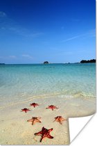 Zeven zeesterren liggen op een rij aan het tropische strand Poster 120x180 cm - Foto print op Poster (wanddecoratie woonkamer / slaapkamer) / Vissen Poster / Zee en Strand XXL / Groot formaat!