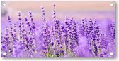 Paars Lavendel in Lavendelveld - Tuinposter 200x100 - Wanddecoratie - Bloemen - Natuur