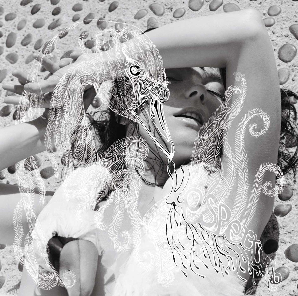 Björk - Vespertine (CD)