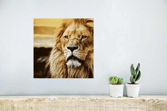 Affiche Lions - Profil - Coucher de soleil - 30x30 cm