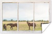 Poster Doorkijk - Paarden - Dieren - 180x120 cm XXL