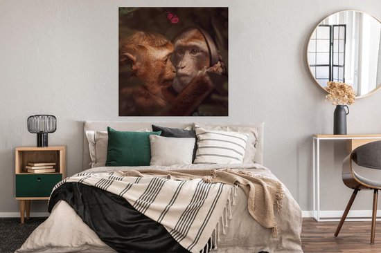 Poster Papillon - Singe - Animaux - Jungle - 100x100 cm XXL