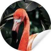 WallCircle - Stickers muraux - Cercle Papier Peint - Flamingo - Feuilles - Portrait - 120x120 cm - Cercle Mural - Auto Adhésif - Sticker Papier Peint Rond XXL