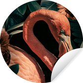 Papier peint Circle - Flamingo - Fleurs - Lumière - Feuilles - 100x100 cm - Wall Circle XXL