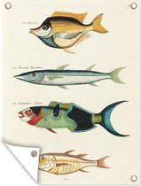 Décoration murale extérieur Mer - Vintage - Poisson - 120x160 cm