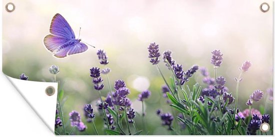Wanddecoratie buiten Bloemen - Vlinder - Lavendel - Zomer - 160x80 cm - Tuindoek - Buitenposter