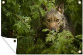 Muurdecoratie Wolf - Planten - Bladeren - 180x120 cm - Tuinposter - Tuindoek - Buitenposter