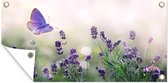 Tuinposter Bloemen - Vlinder - Lavendel - Zomer - 80x40 cm - Wanddecoratie Buiten - Tuinposter - Tuindoek - Schuttingposter - Tuinschilderij