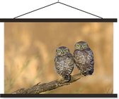 Affiche textielposter couple hiboux 60x40 cm