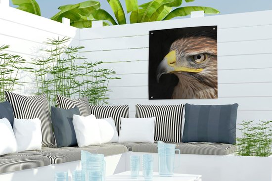 Posters de jardin Buse - Vogel - Zwart - 50x50 cm
