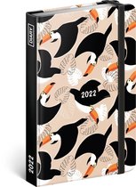 Toucans Agenda 2022