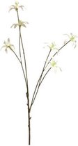 kunstplant Magnolia Star 77 cm zijde wit